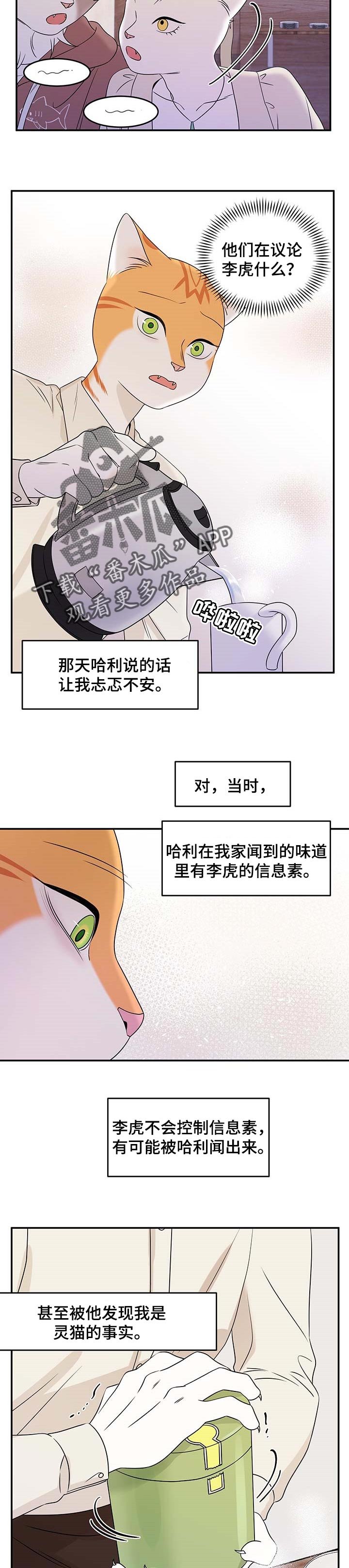 第22章：担心