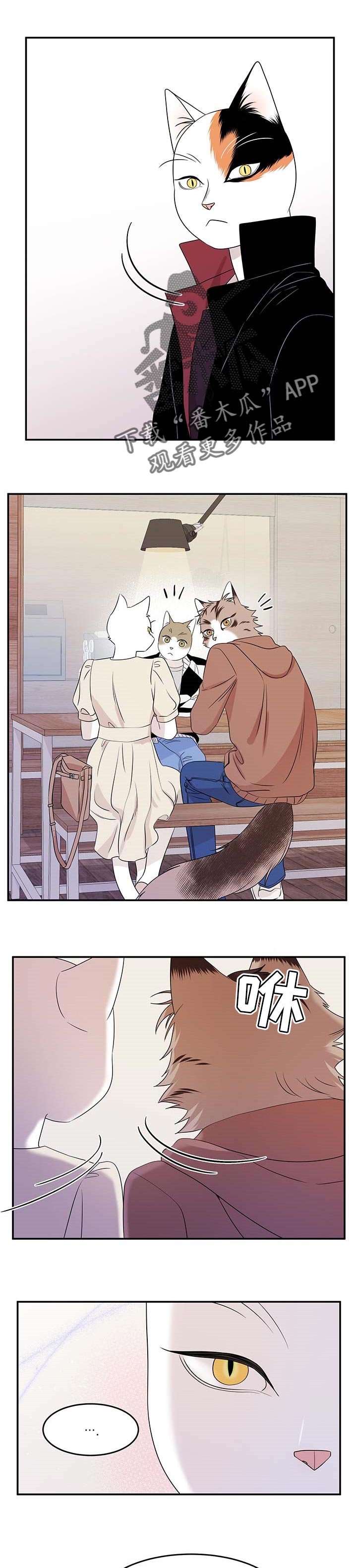 第23章：可惜