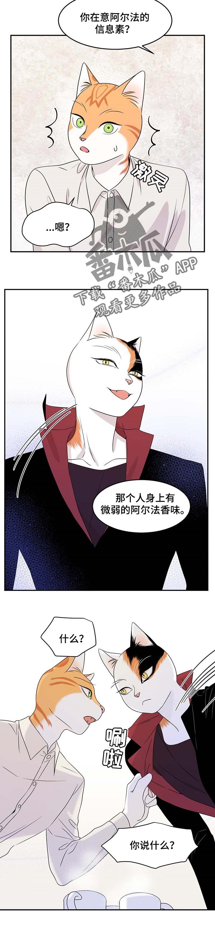 第23章：可惜