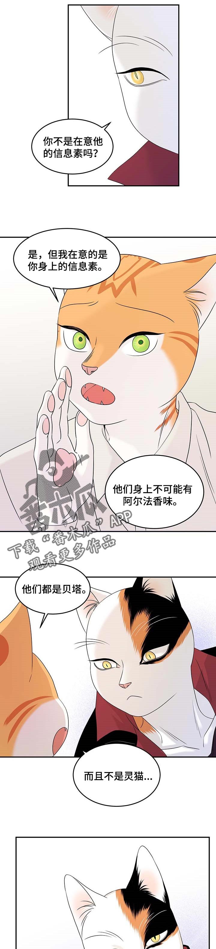第23章：可惜
