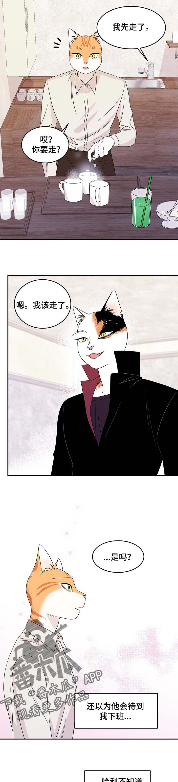 第23章：可惜