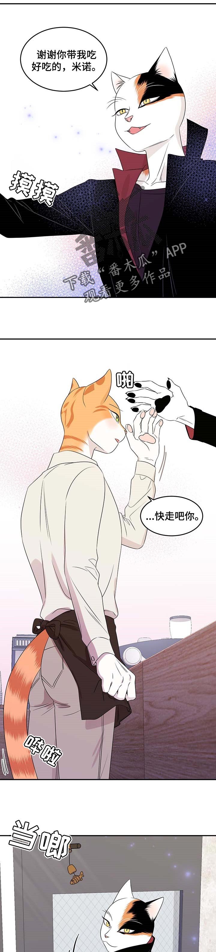 第23章：可惜