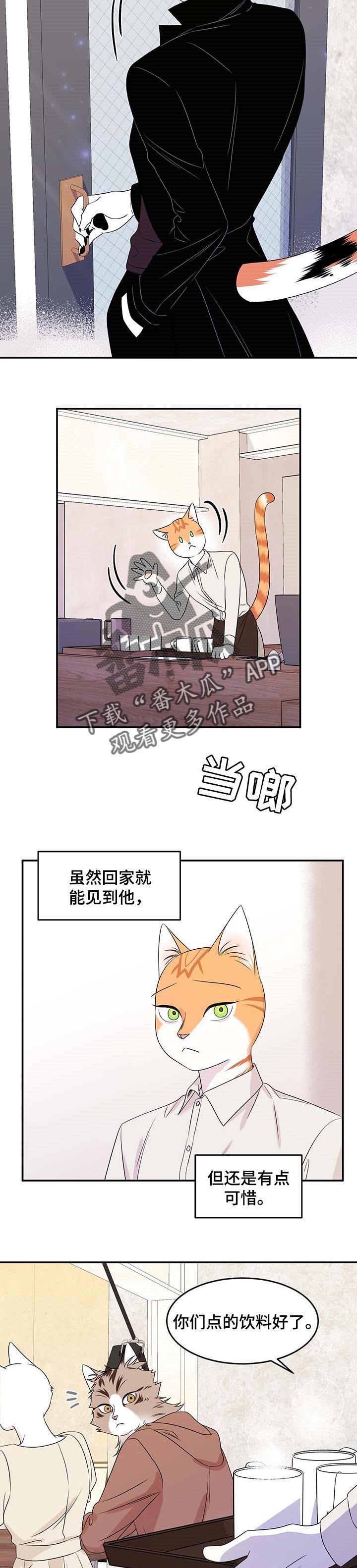 第23章：可惜