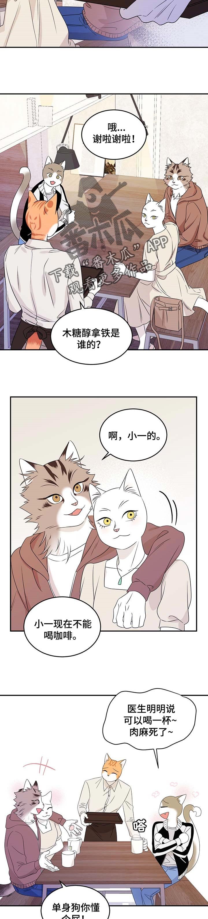 第23章：可惜