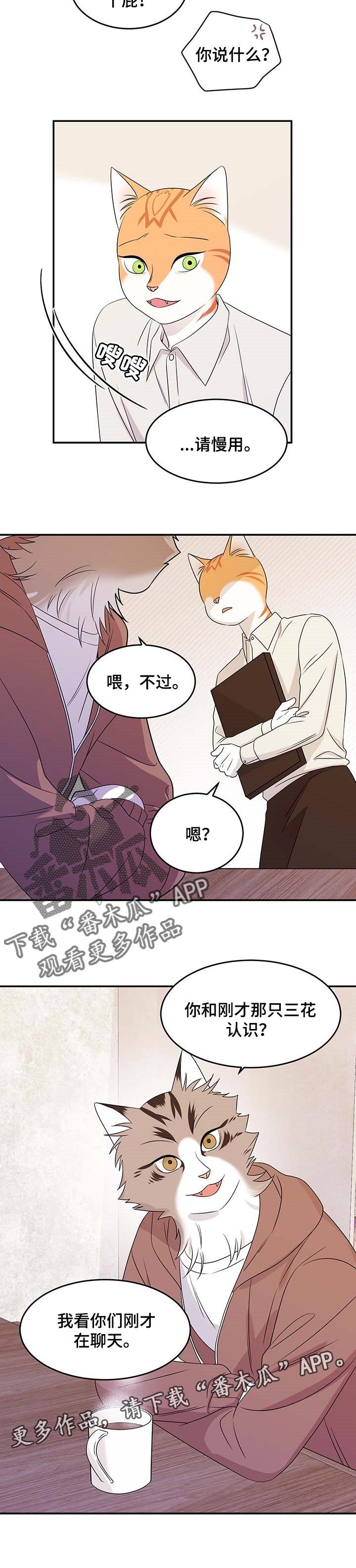 第23章：可惜