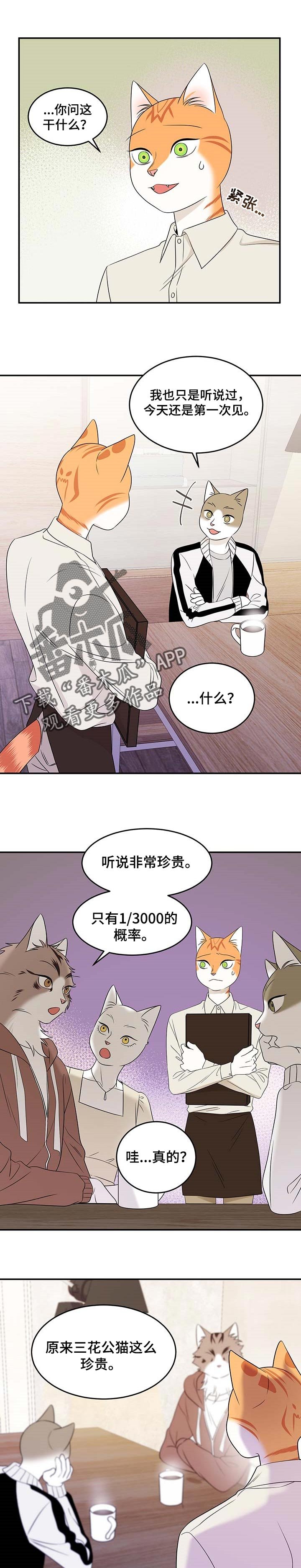 第24章：珍贵