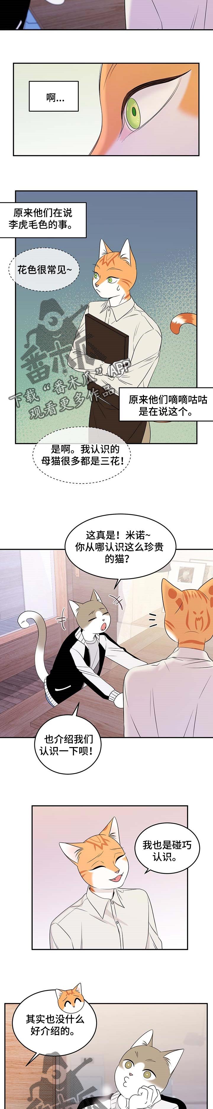 第24章：珍贵