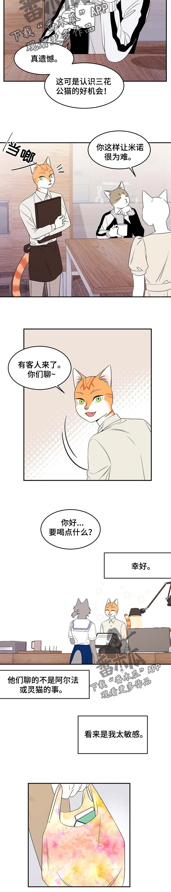 第24章：珍贵