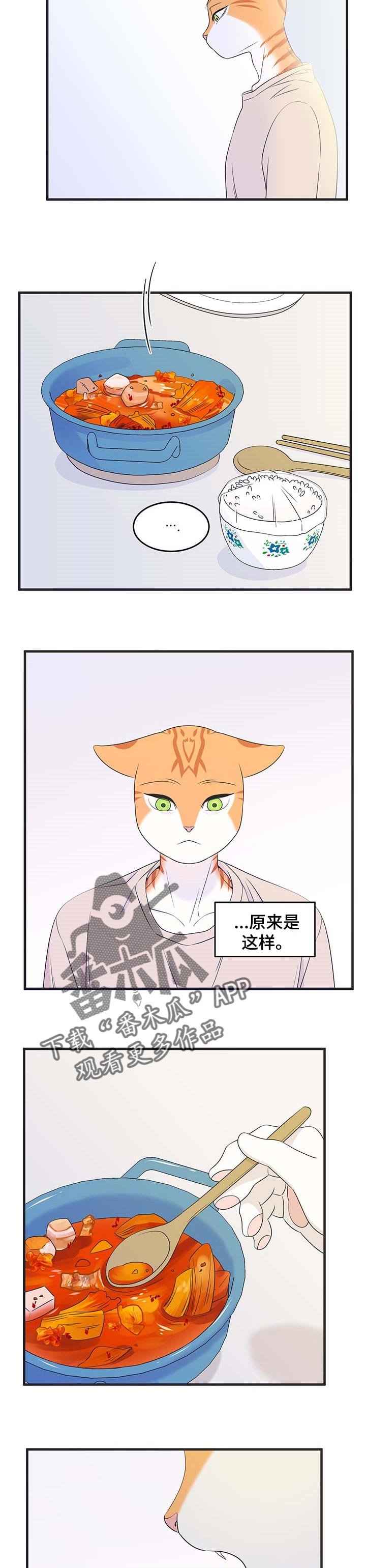 第25章：心痛