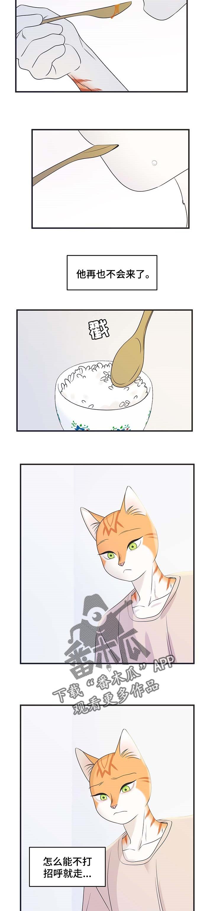第25章：心痛