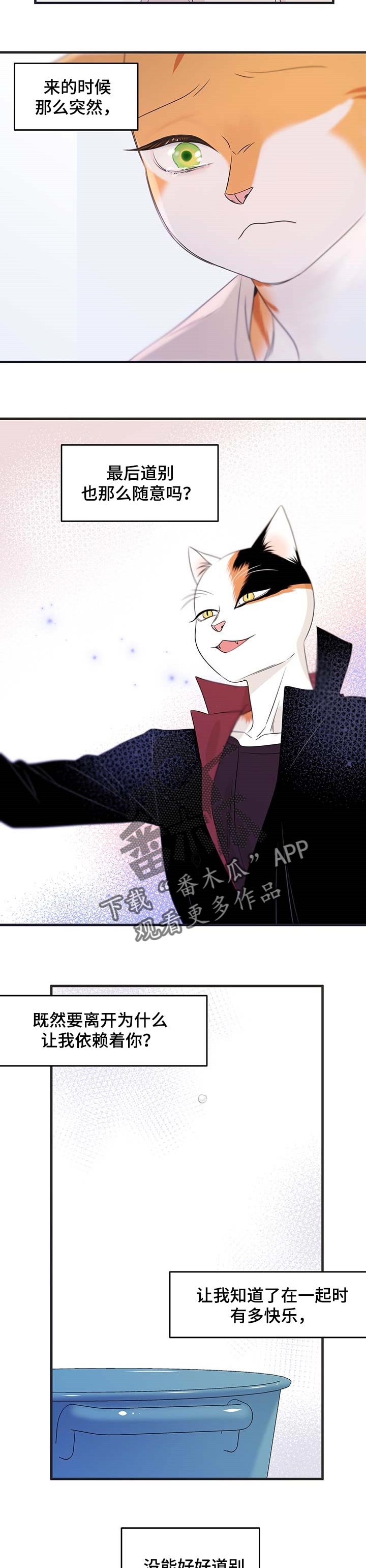 第25章：心痛