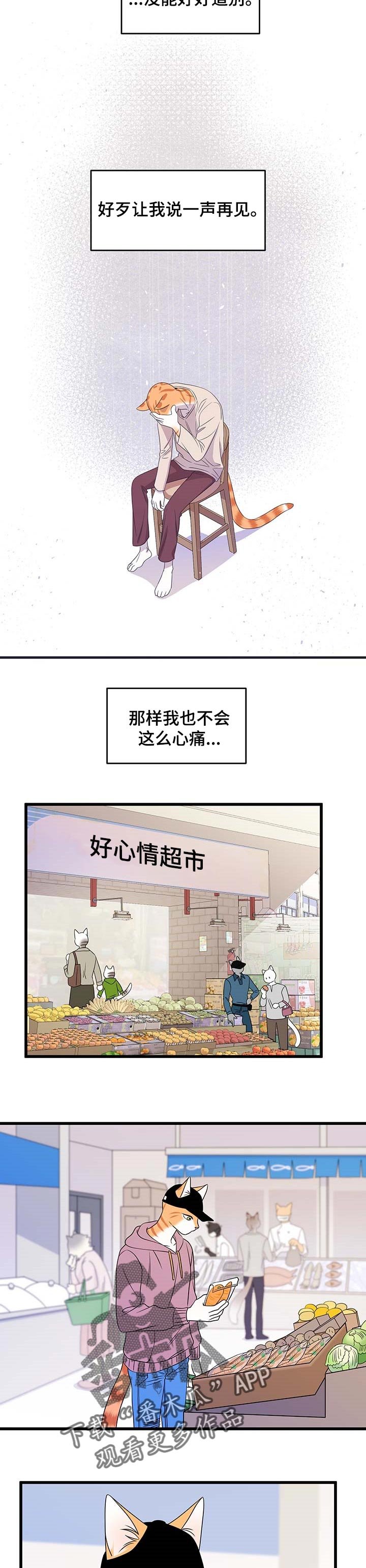 第25章：心痛