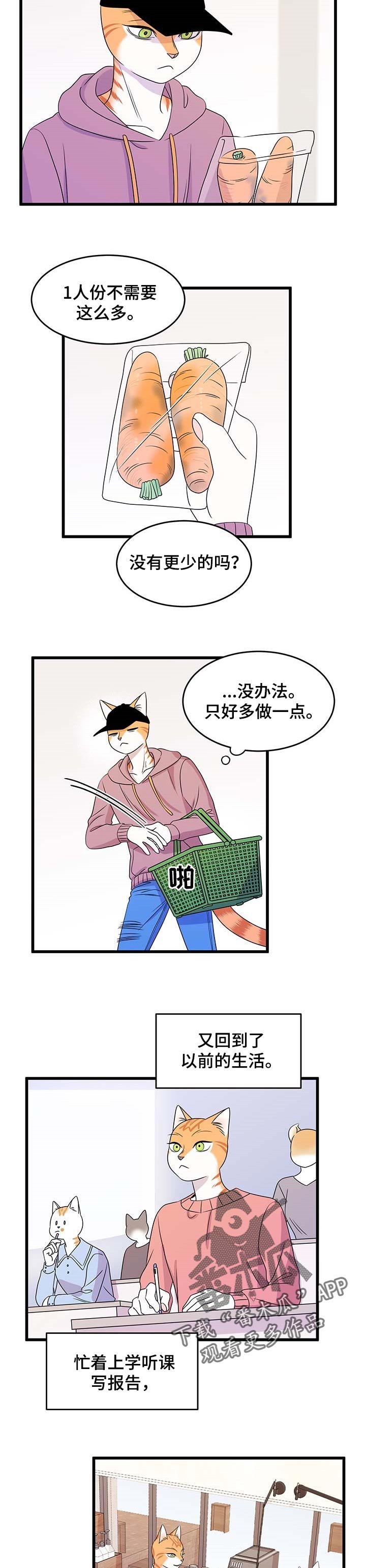 第25章：心痛