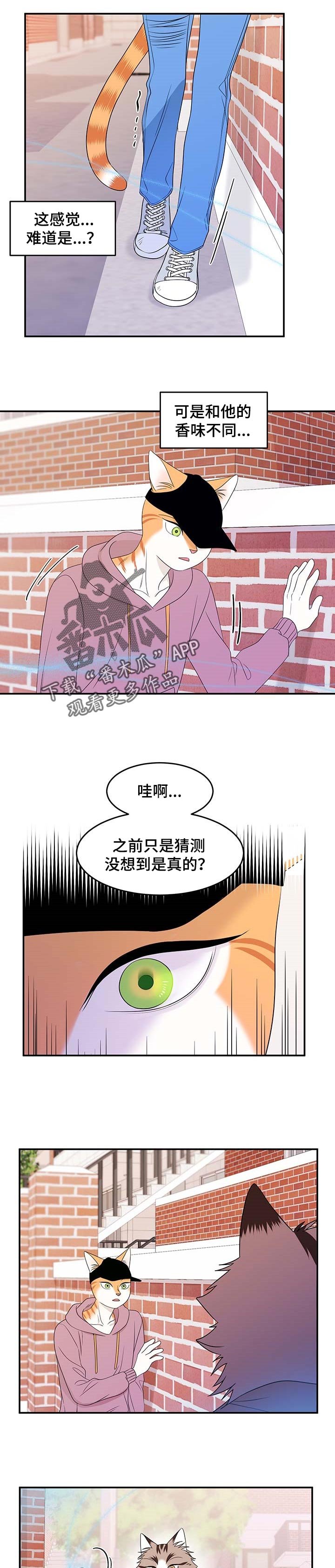 第26章：绑架