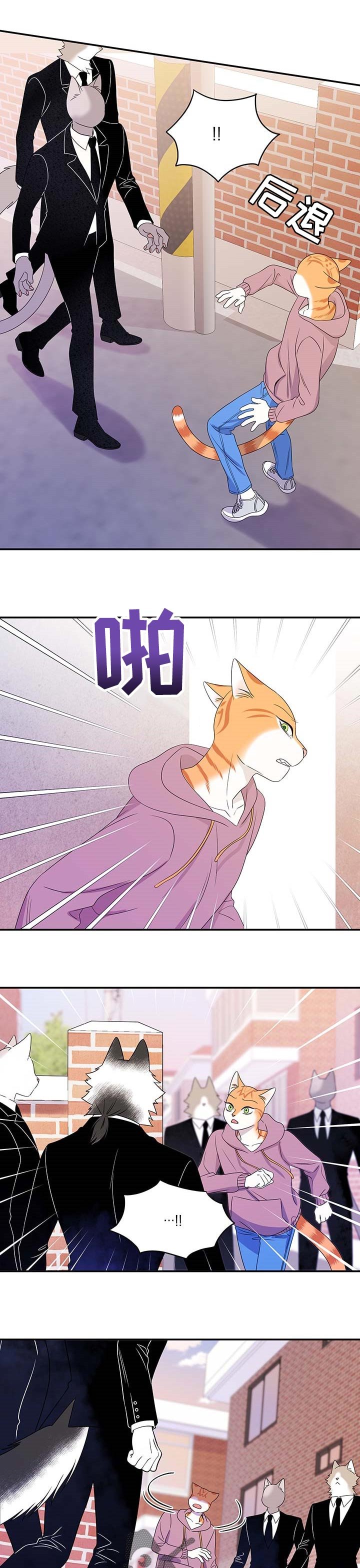 第26章：绑架
