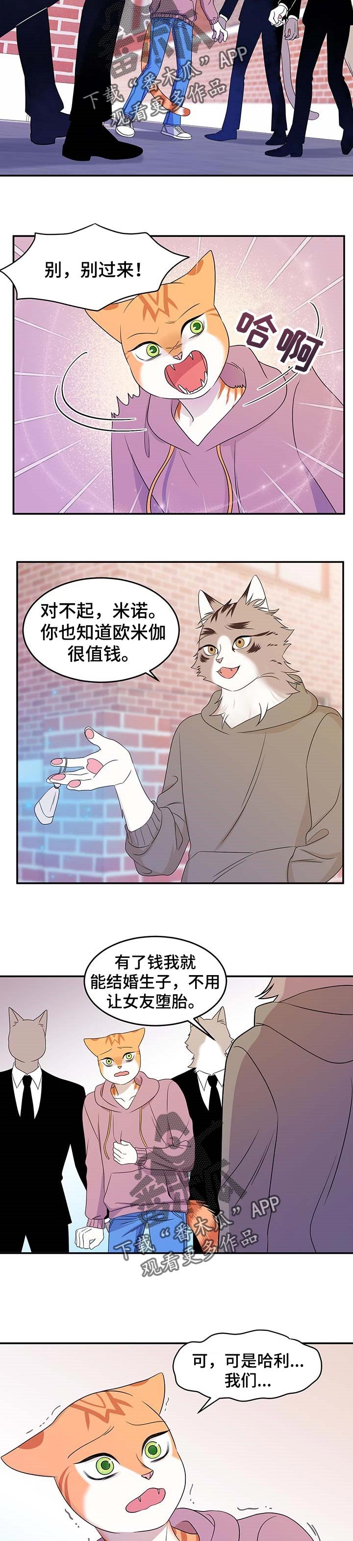 第26章：绑架