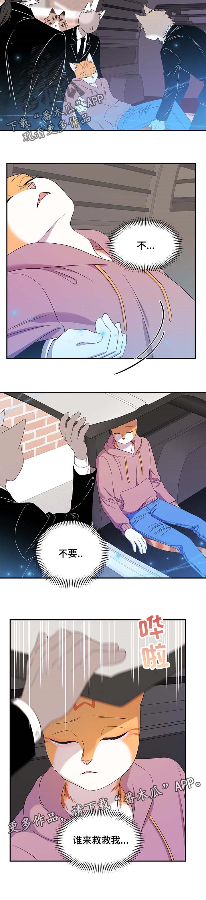 第26章：绑架