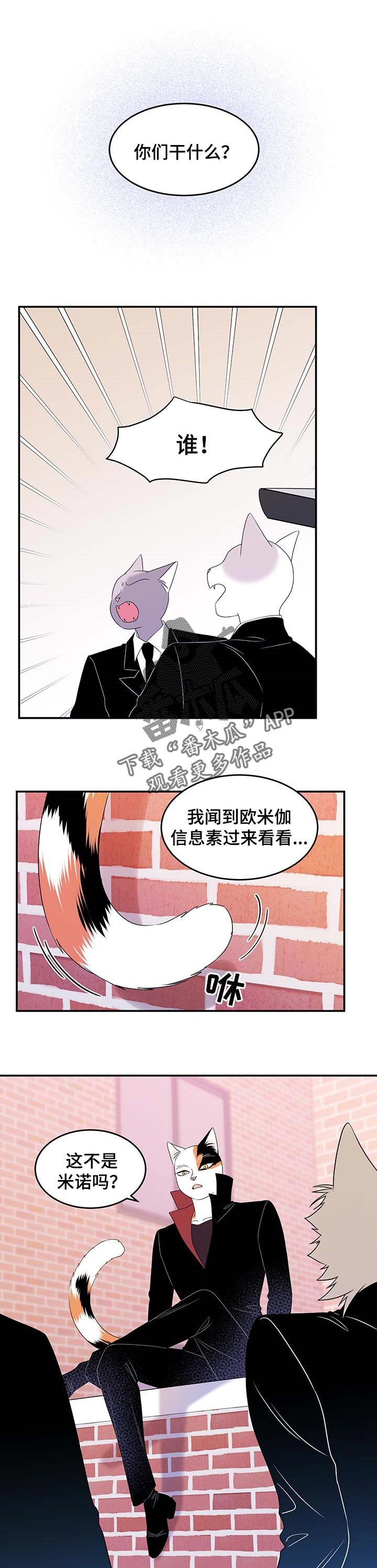 第27章：奇特