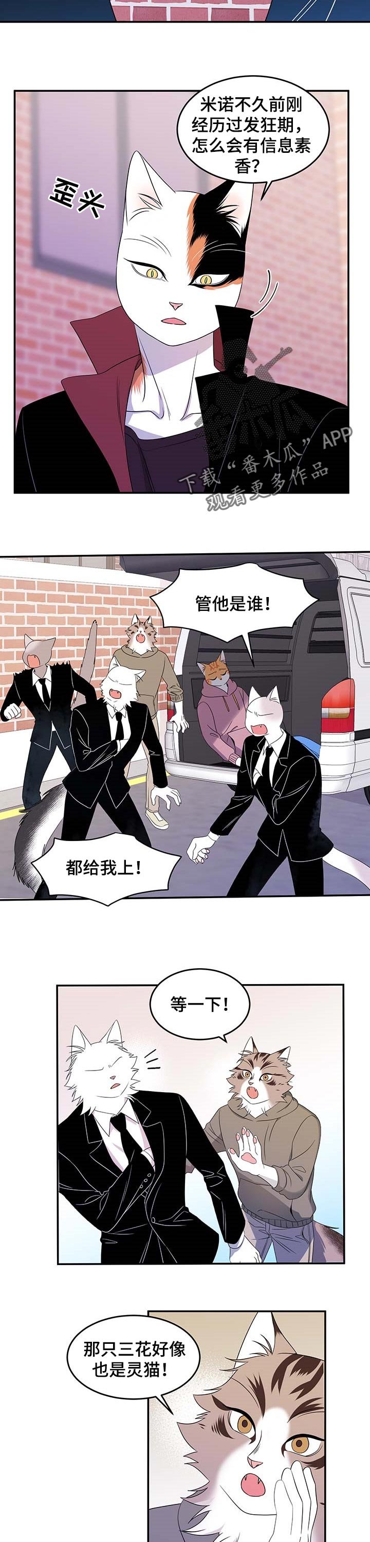 第27章：奇特
