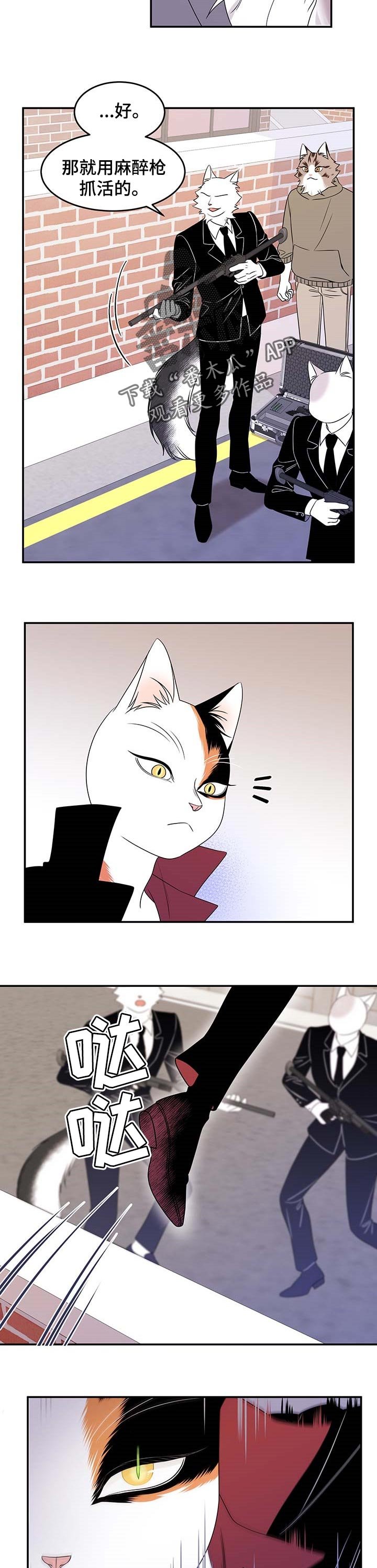 第27章：奇特