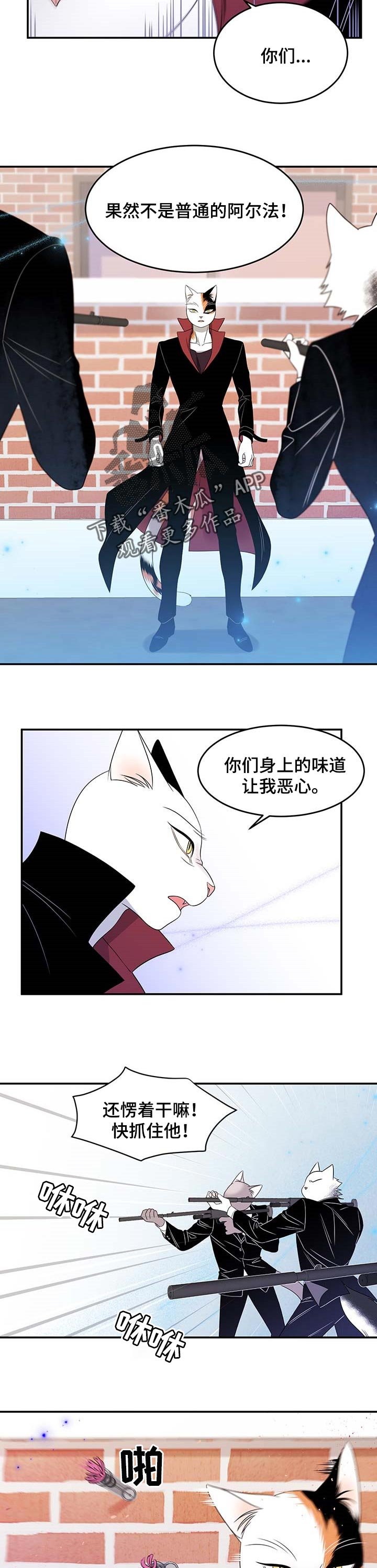 第27章：奇特