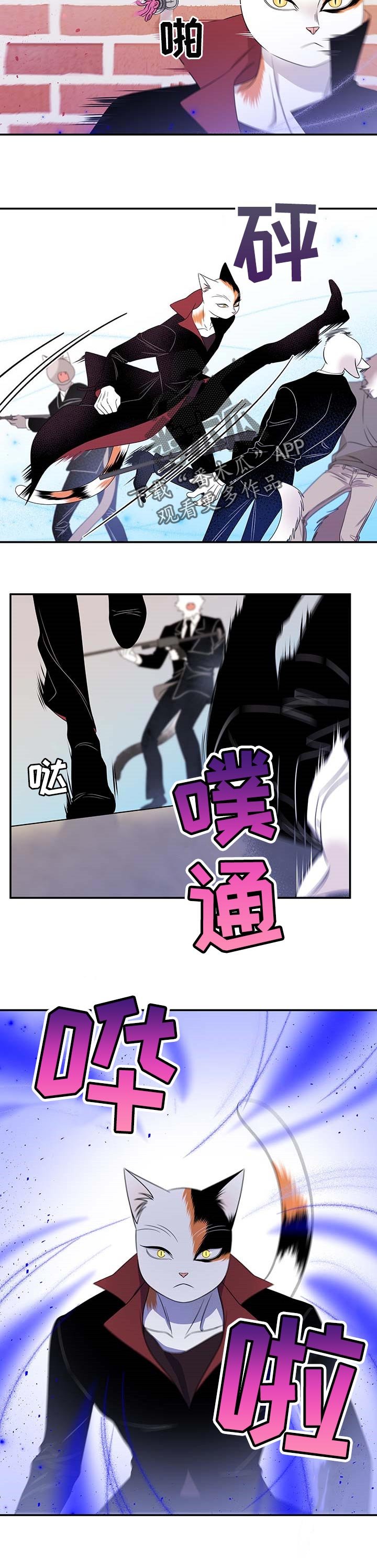 第27章：奇特