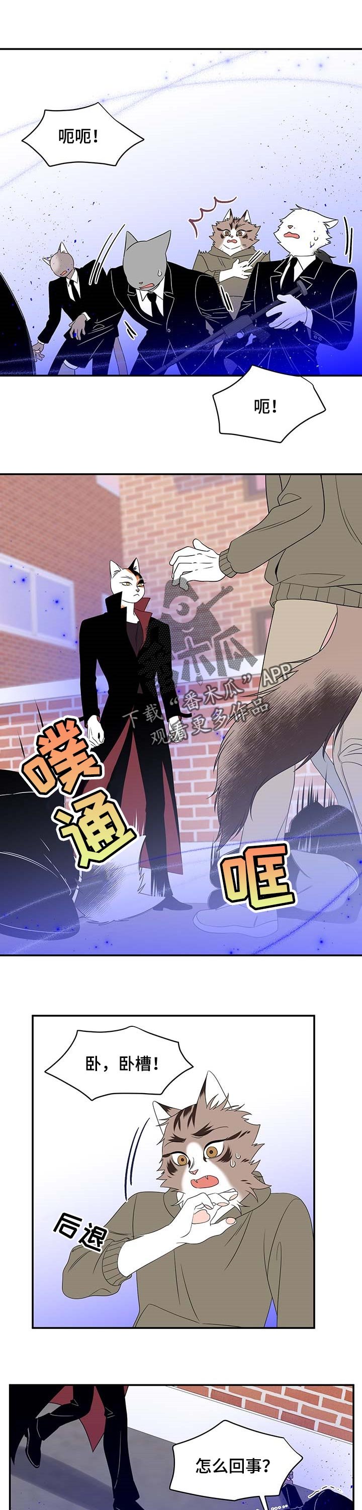 第27章：奇特