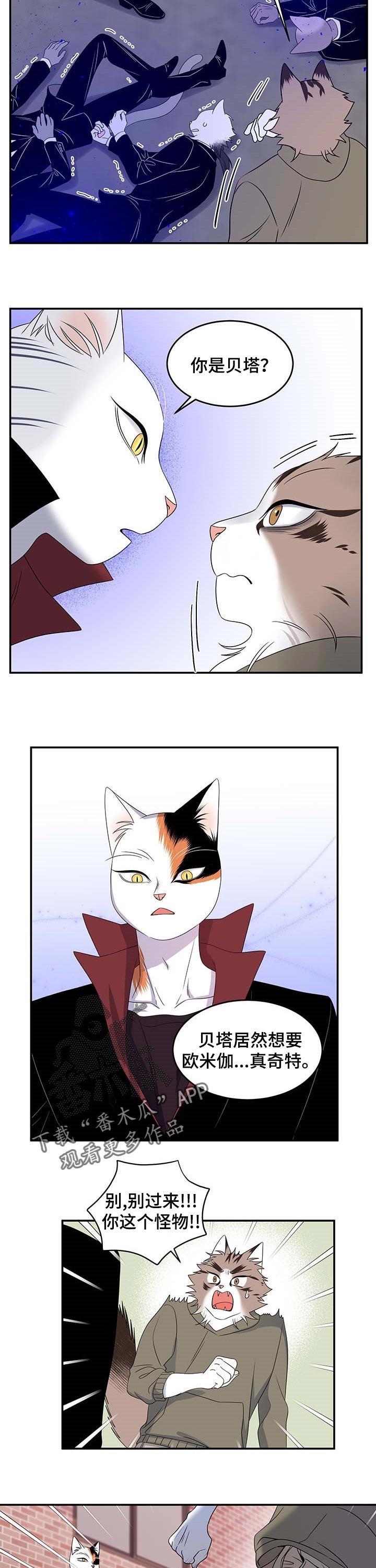 第27章：奇特