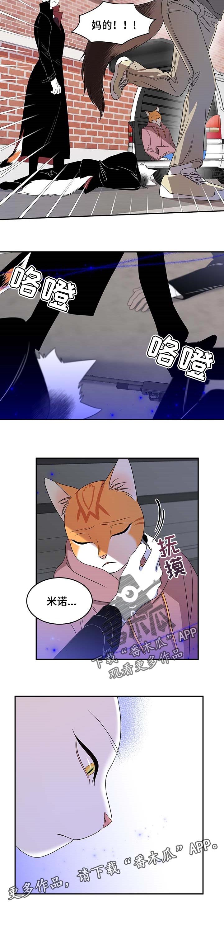 第27章：奇特