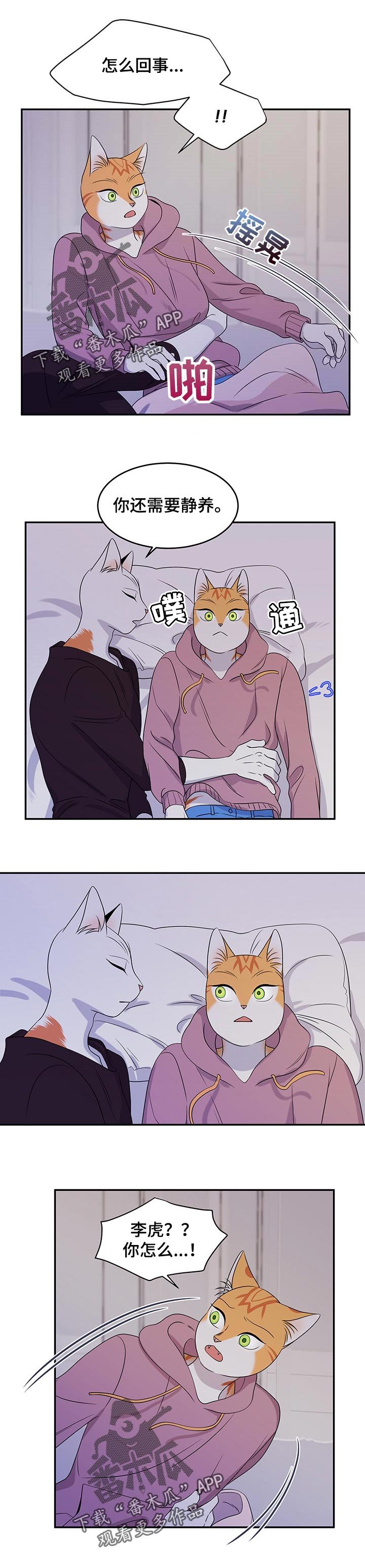 第29章：你到底是谁