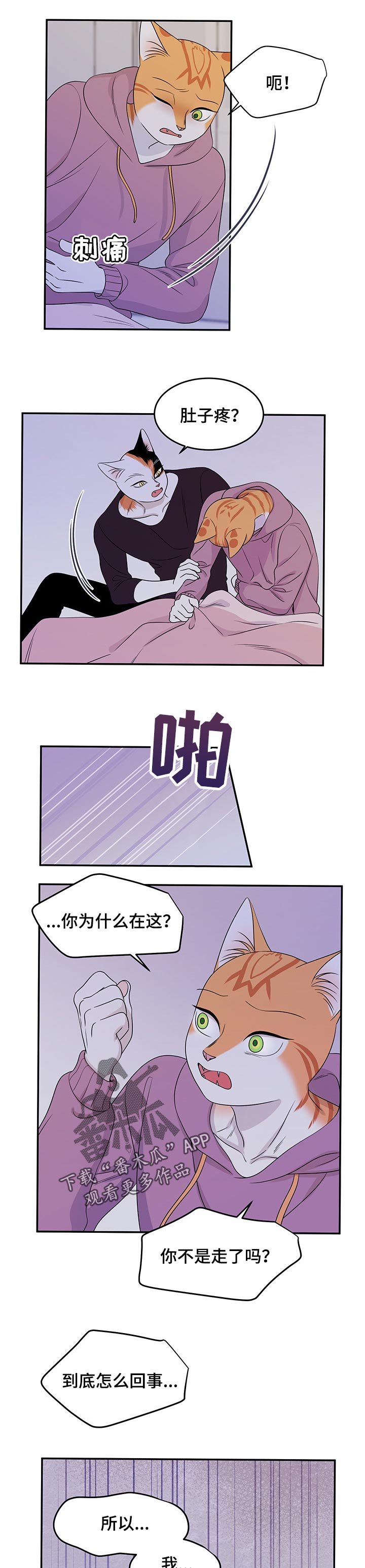 第29章：你到底是谁