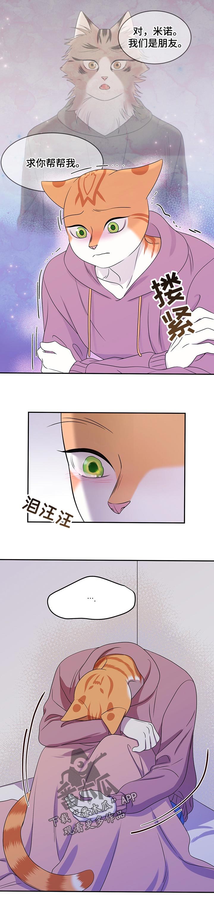 第29章：你到底是谁