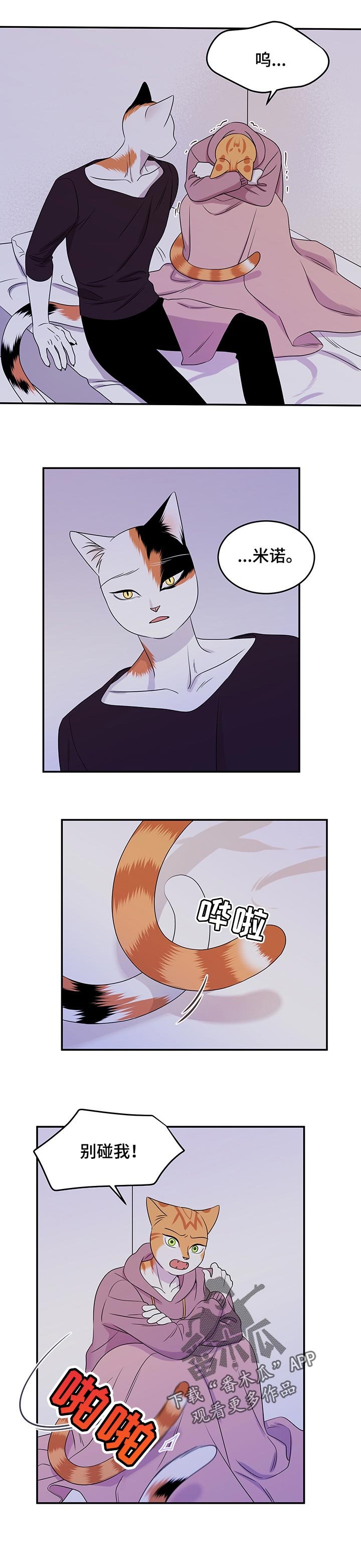第29章：你到底是谁