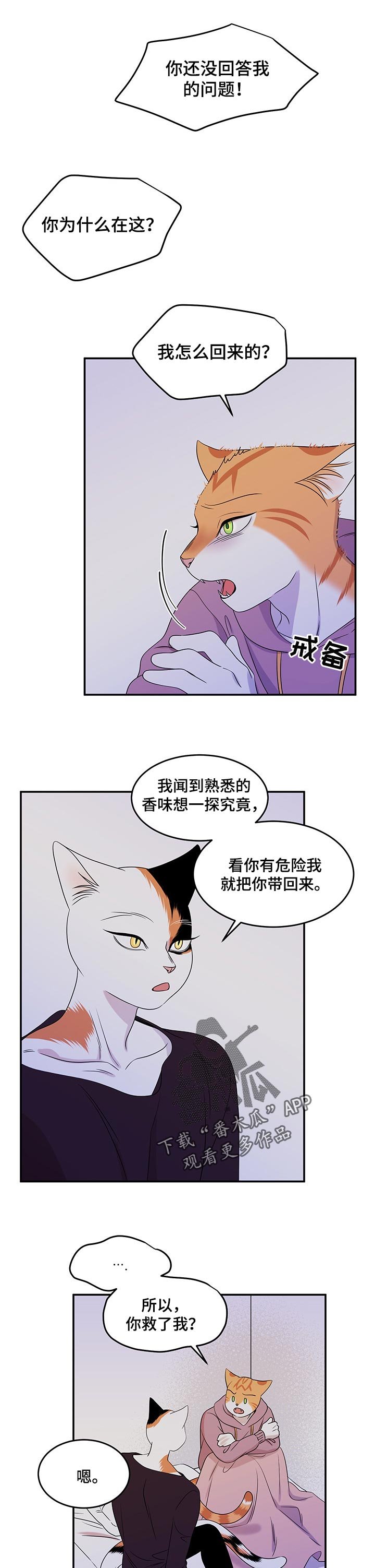第29章：你到底是谁