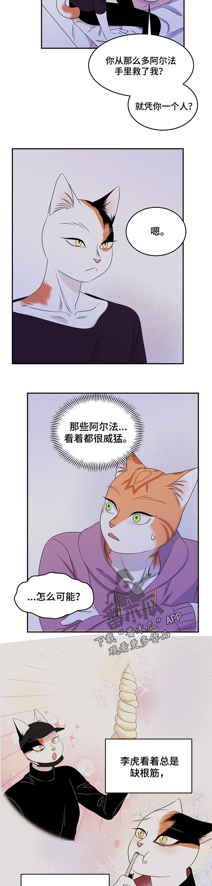 第29章：你到底是谁