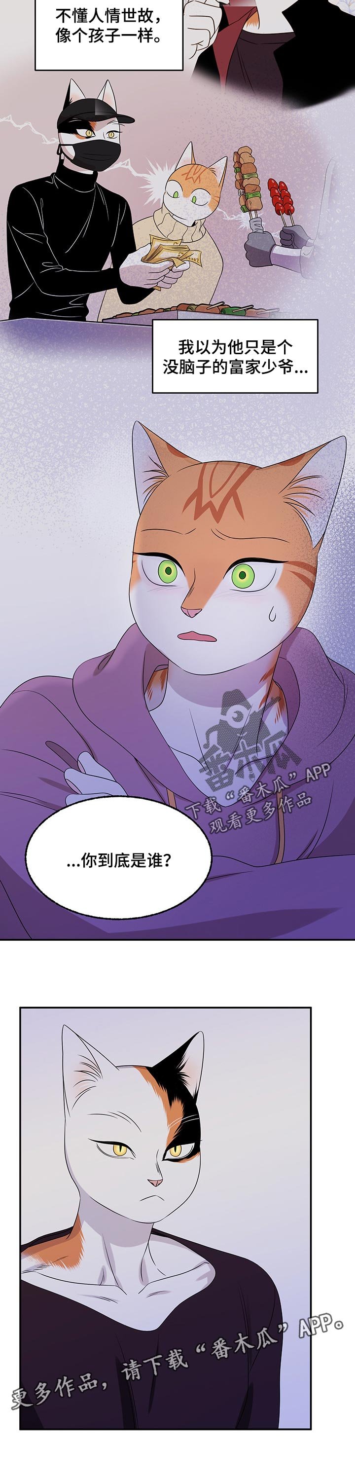 第29章：你到底是谁