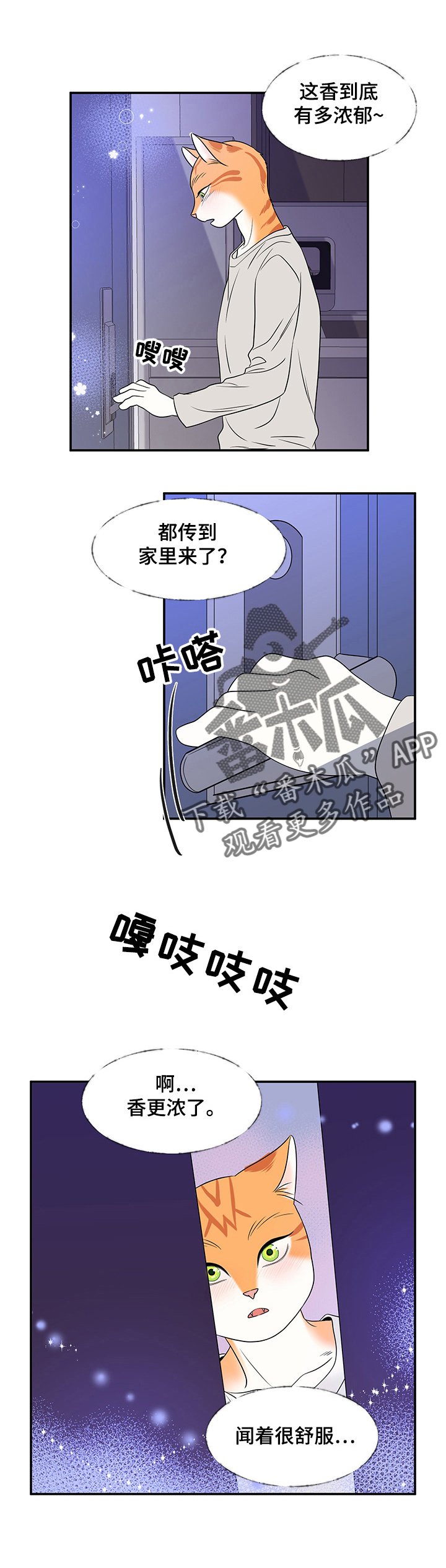 第3章：邀请