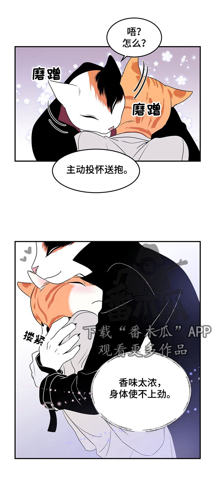第3章：邀请