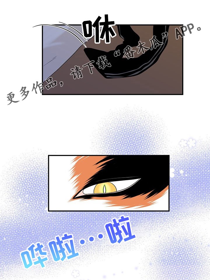 第3章：邀请