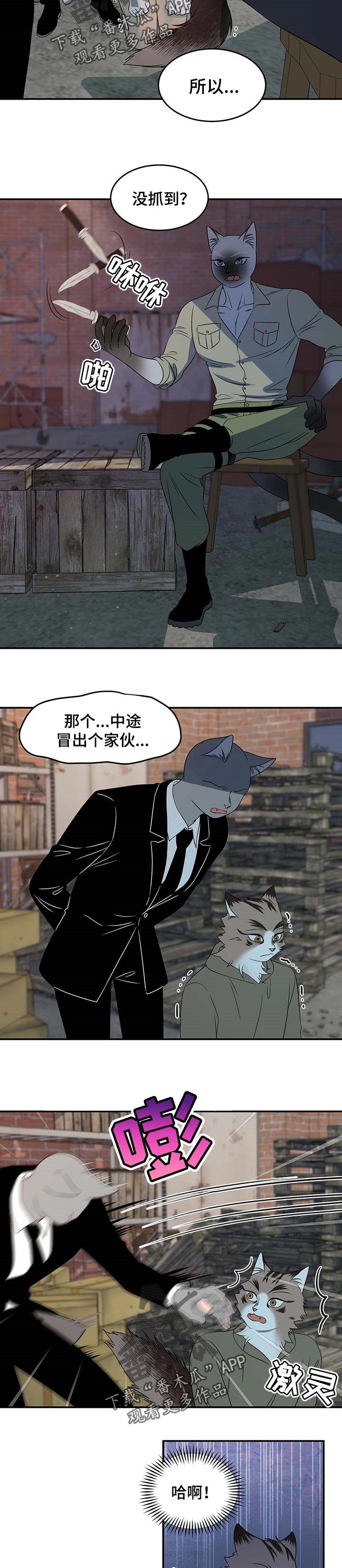 第30章：叫他出来