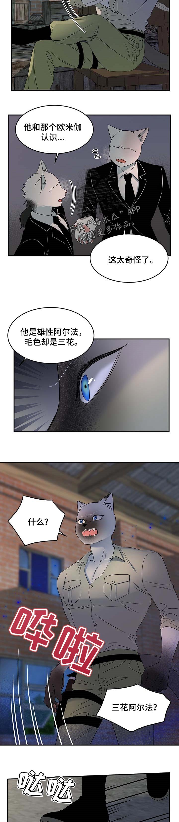 第30章：叫他出来