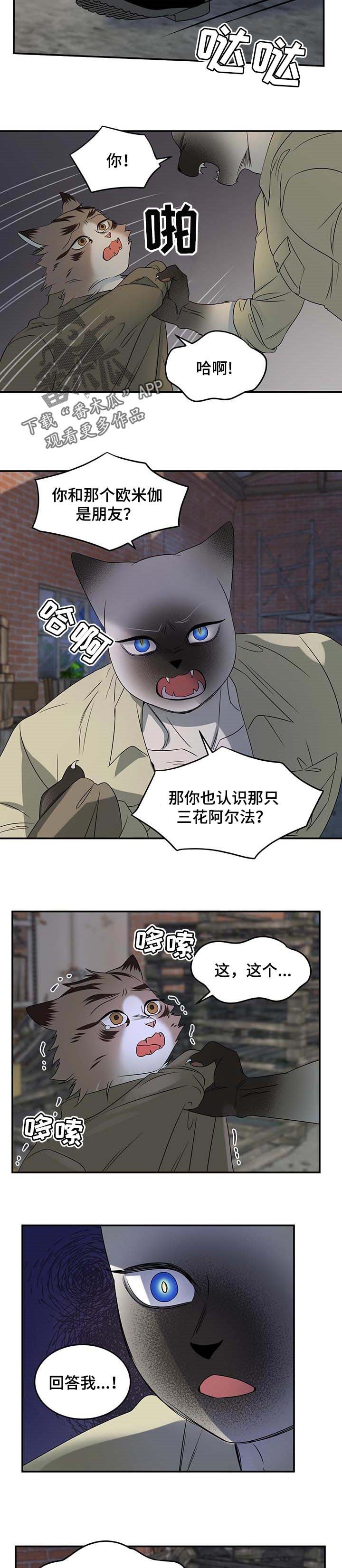 第30章：叫他出来