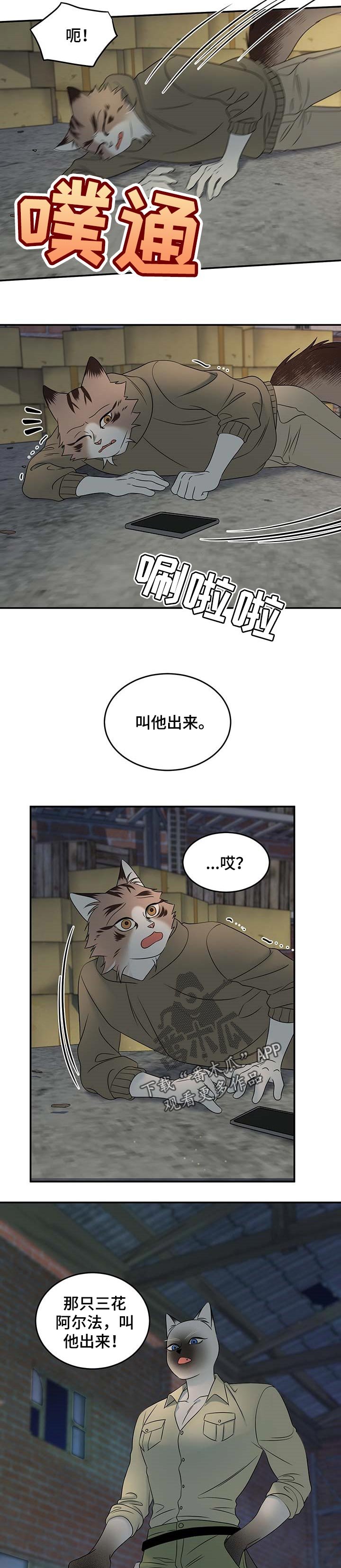 第30章：叫他出来