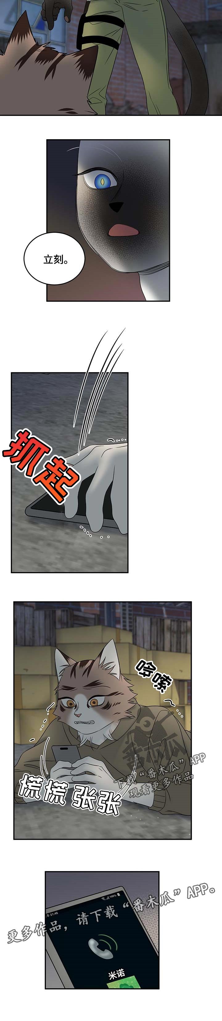 第30章：叫他出来