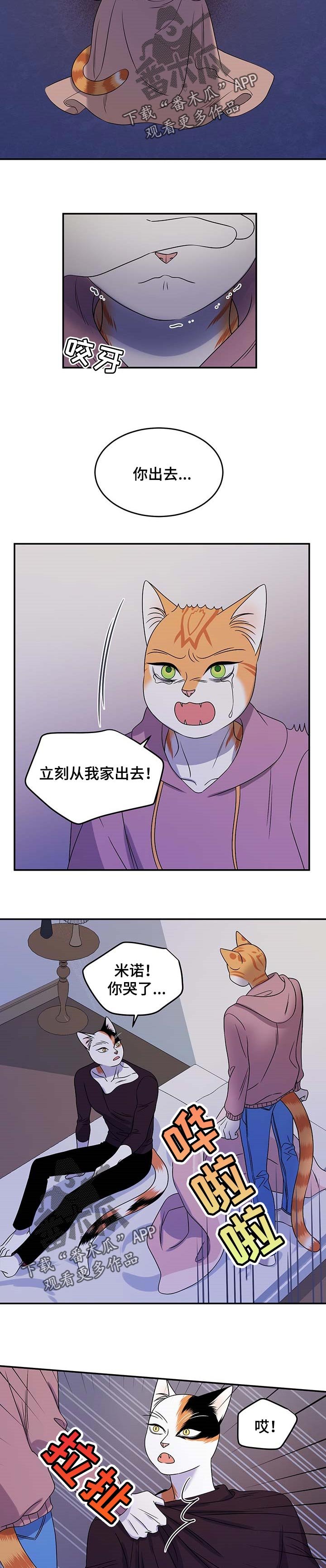 第31章：不想见到你