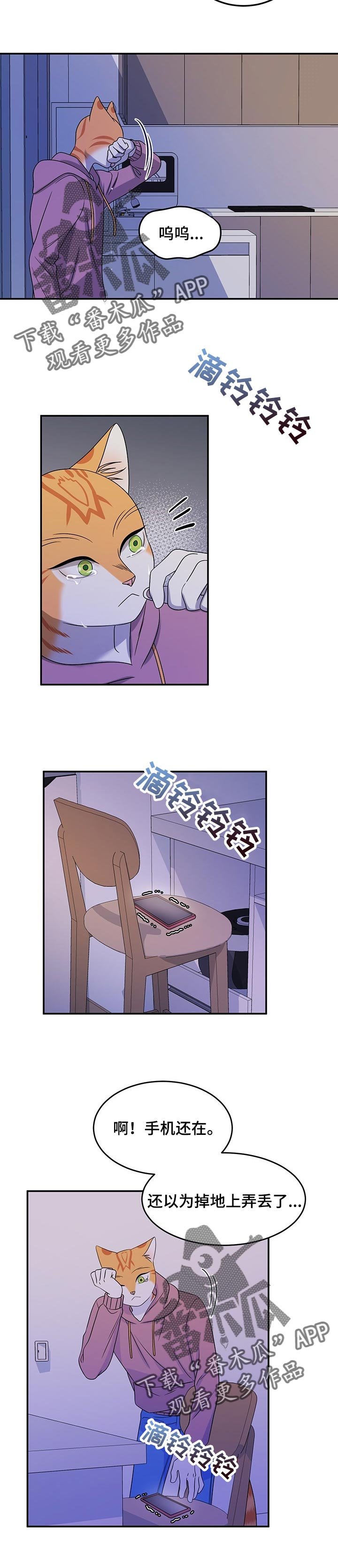 第32章：因果报应