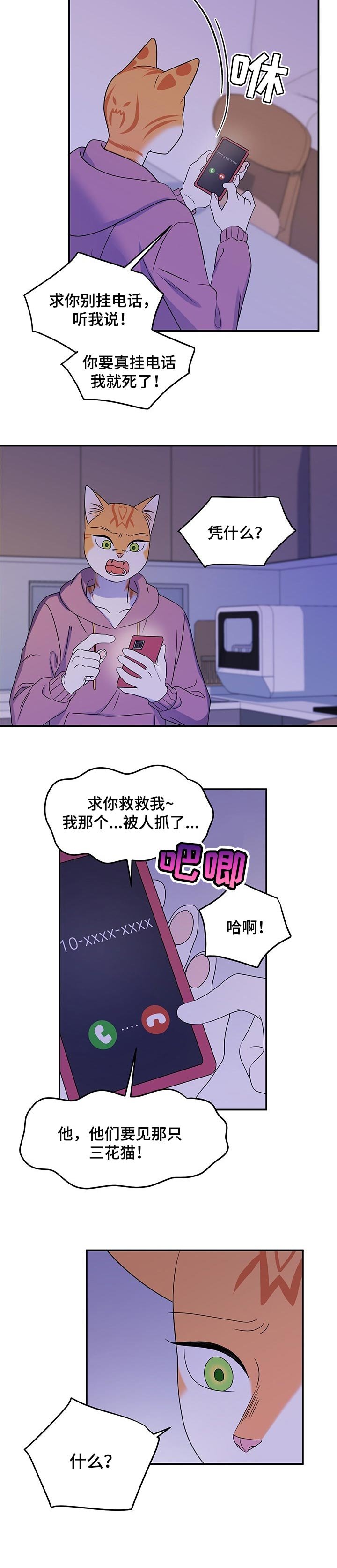第32章：因果报应
