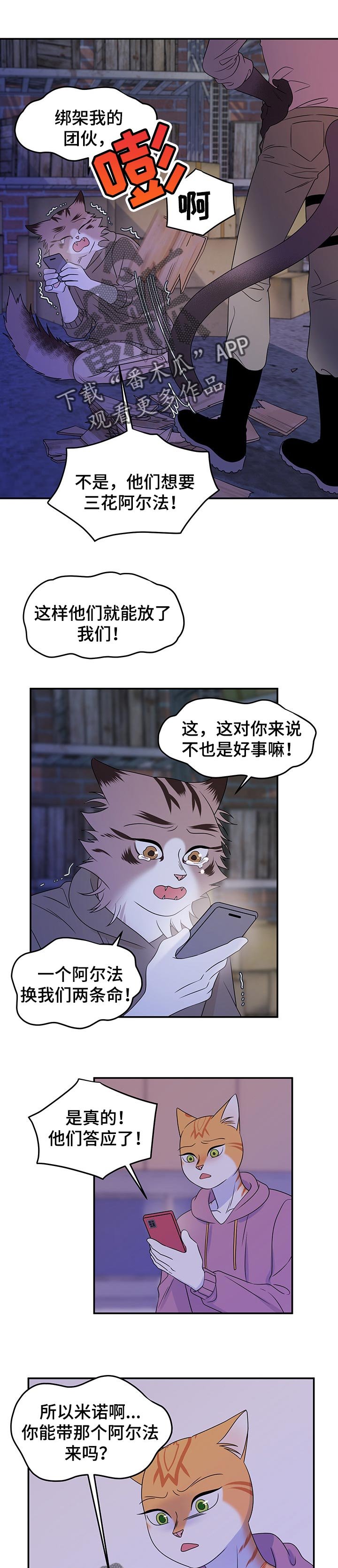 第32章：因果报应