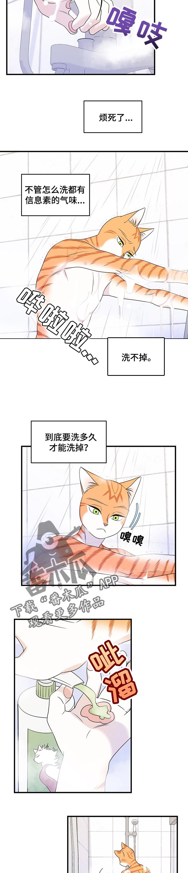 第32章：因果报应