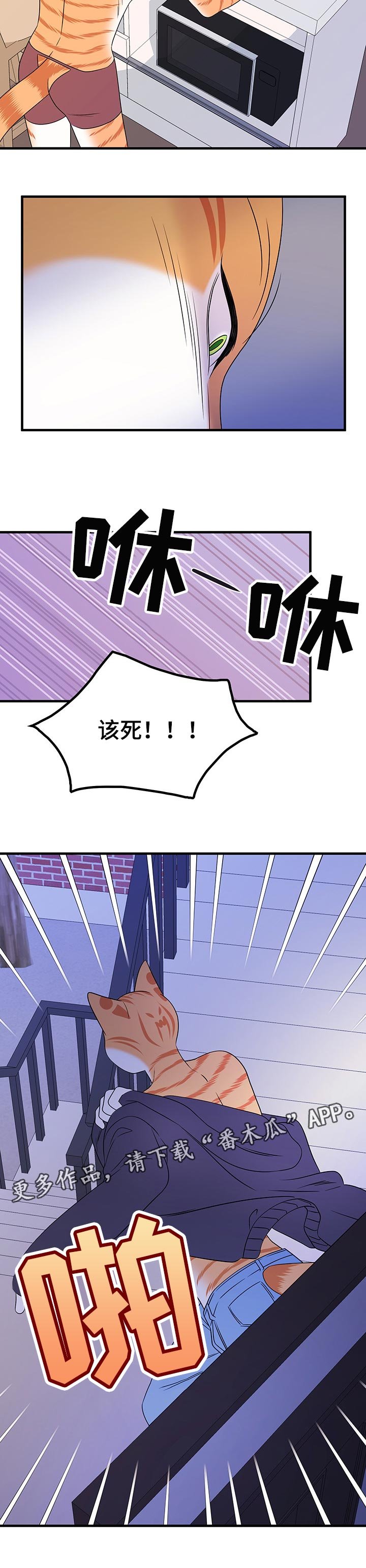 第33章：黑名单